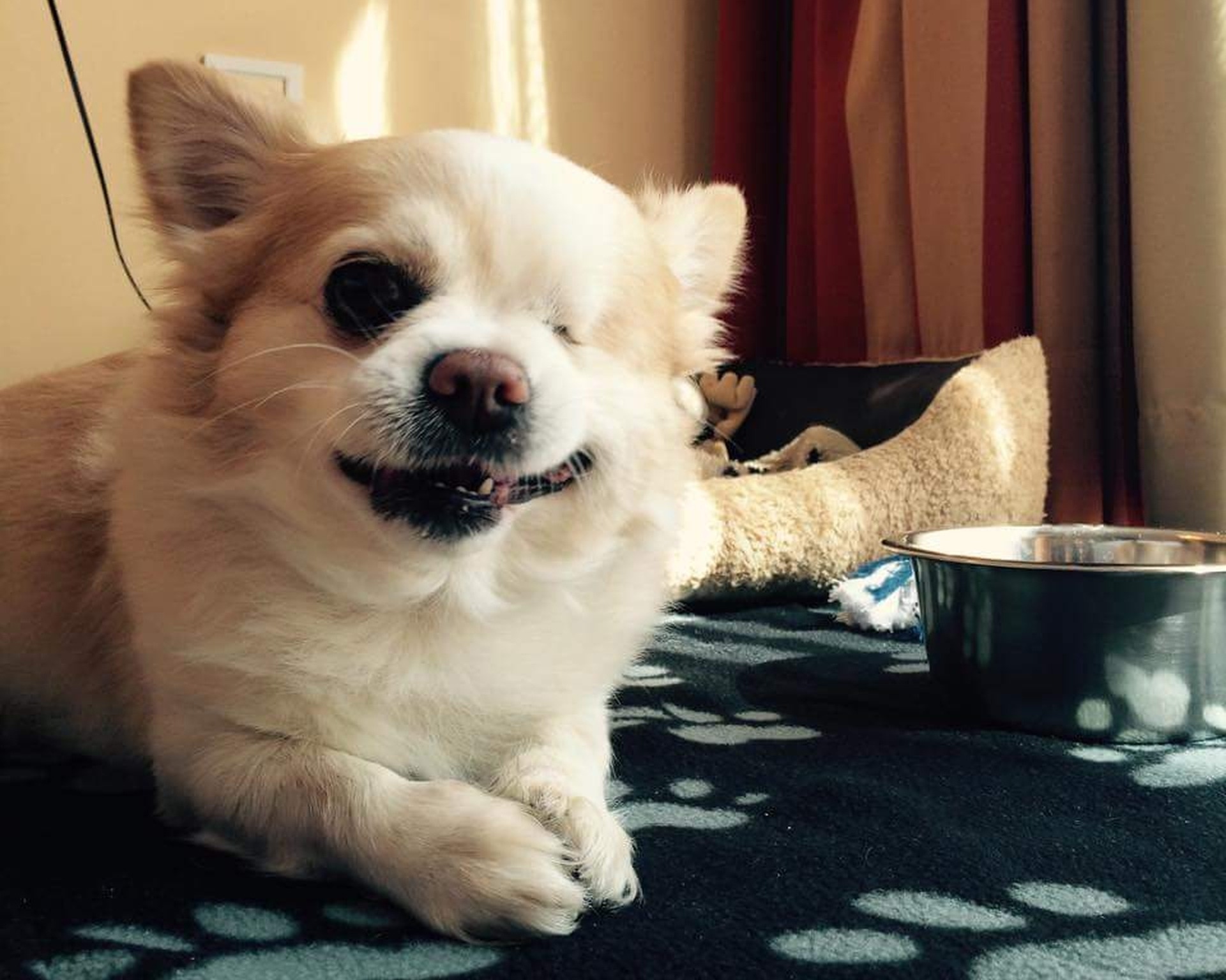 Rico visted us in august 2015 Rico visted us in august 2015